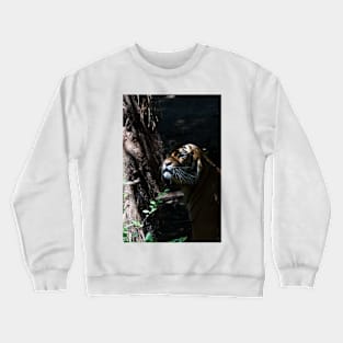 Hiding Tiger Crewneck Sweatshirt